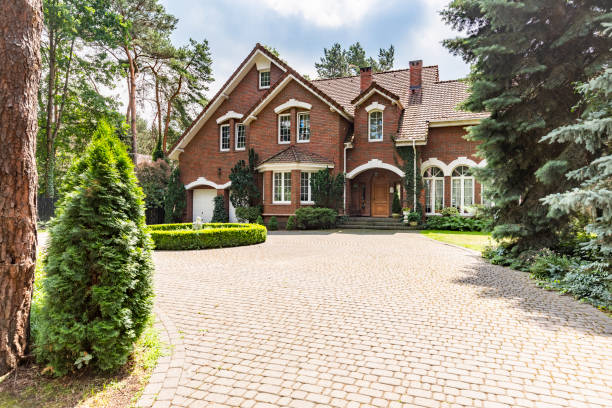 Best Driveway Repair Near Me  in University Place, WA