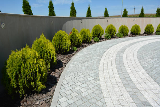 Best Decorative Driveway Pavers  in University Place, WA